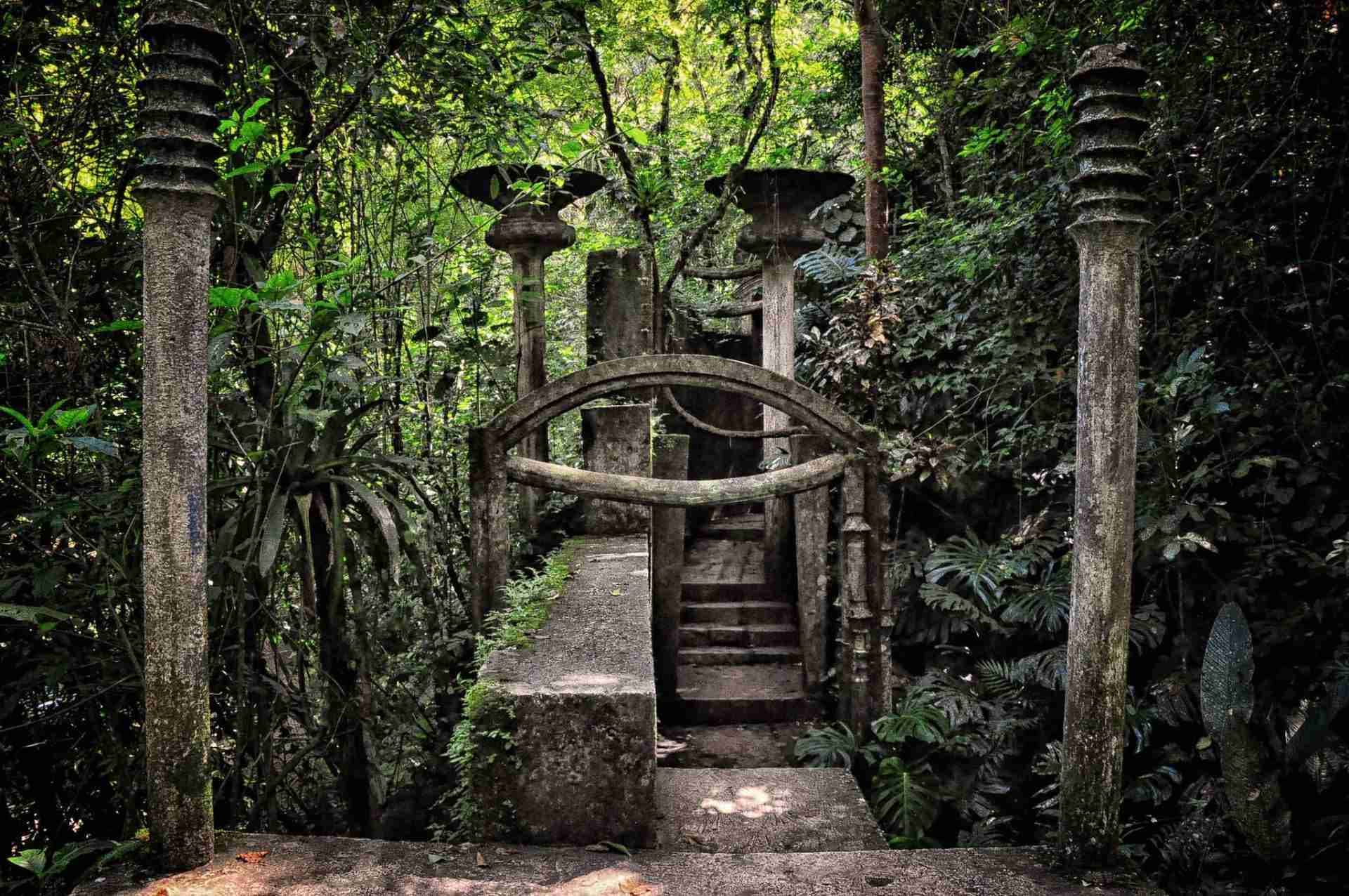 Las Pozas-Photo by Rod Waddington