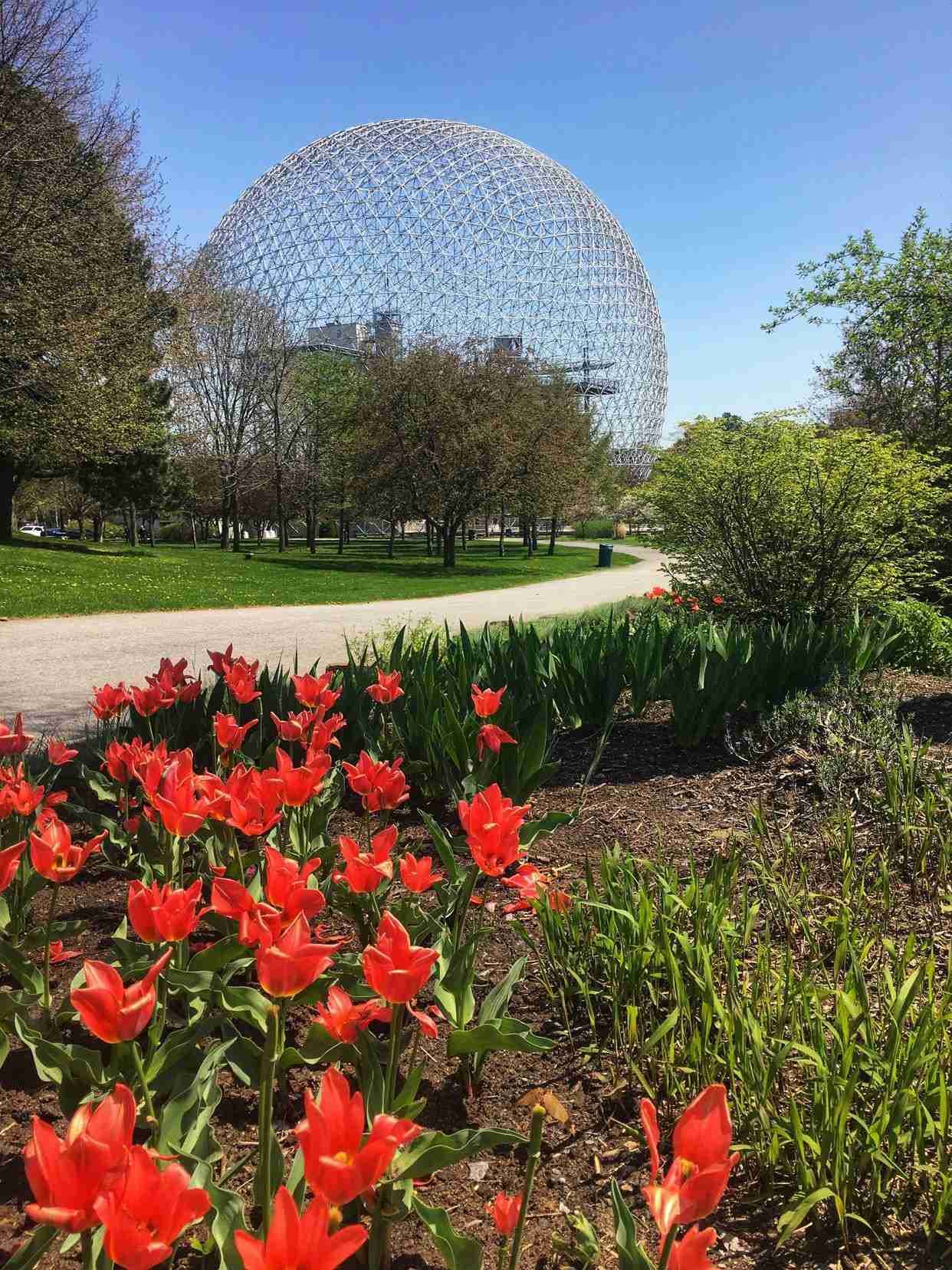 Montreal Biosphere-Photo by Shawn M. Kent