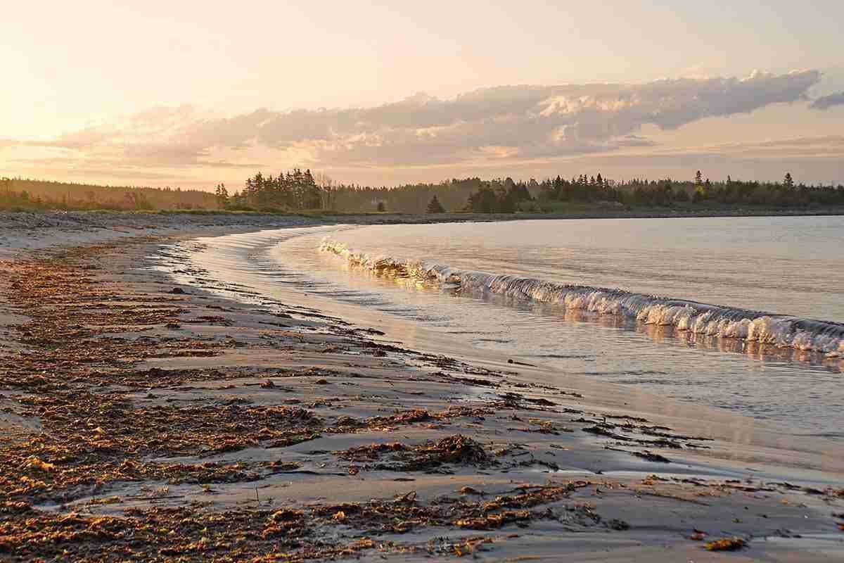 Cleveland Beach Provincial Park – Photo by Dennis Jarvis