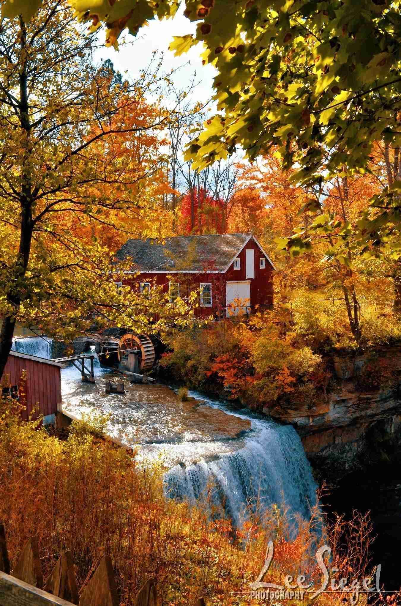 Morningstar Mill by Lee Siegel
