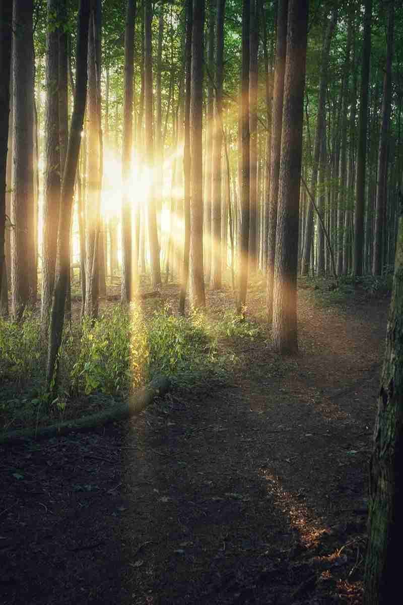 Springwater Conservation Area