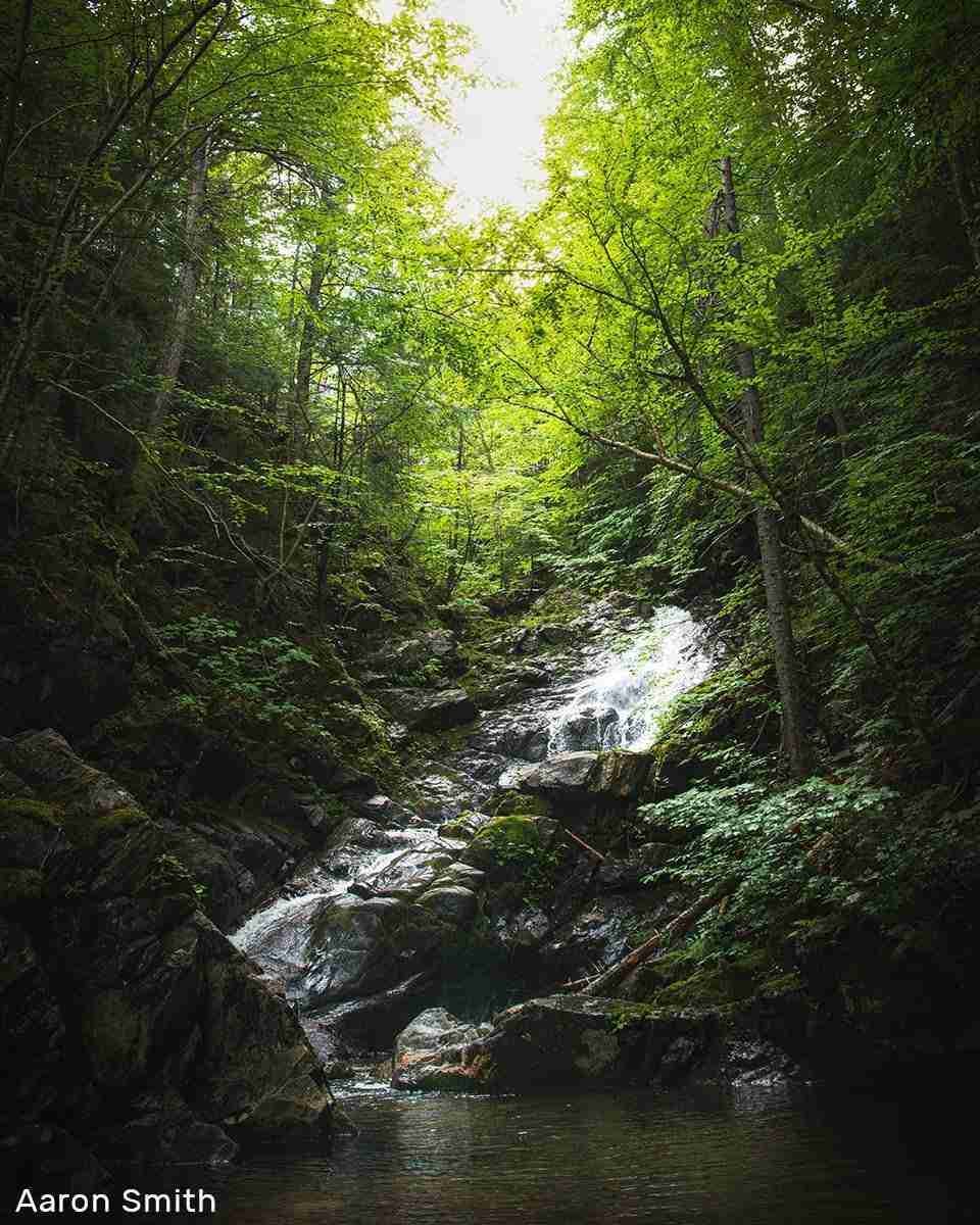 MacIntosh Brook Falls