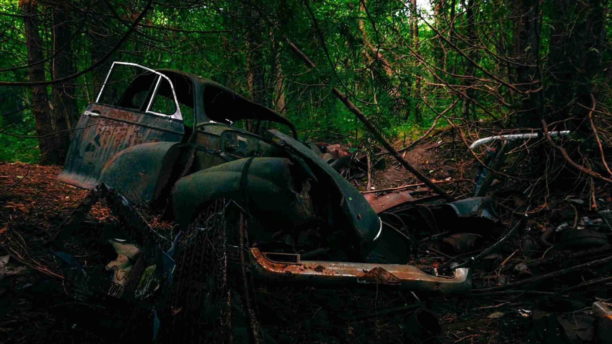 Monaghan Forest Abandoned Cars by Shawn M Kent
