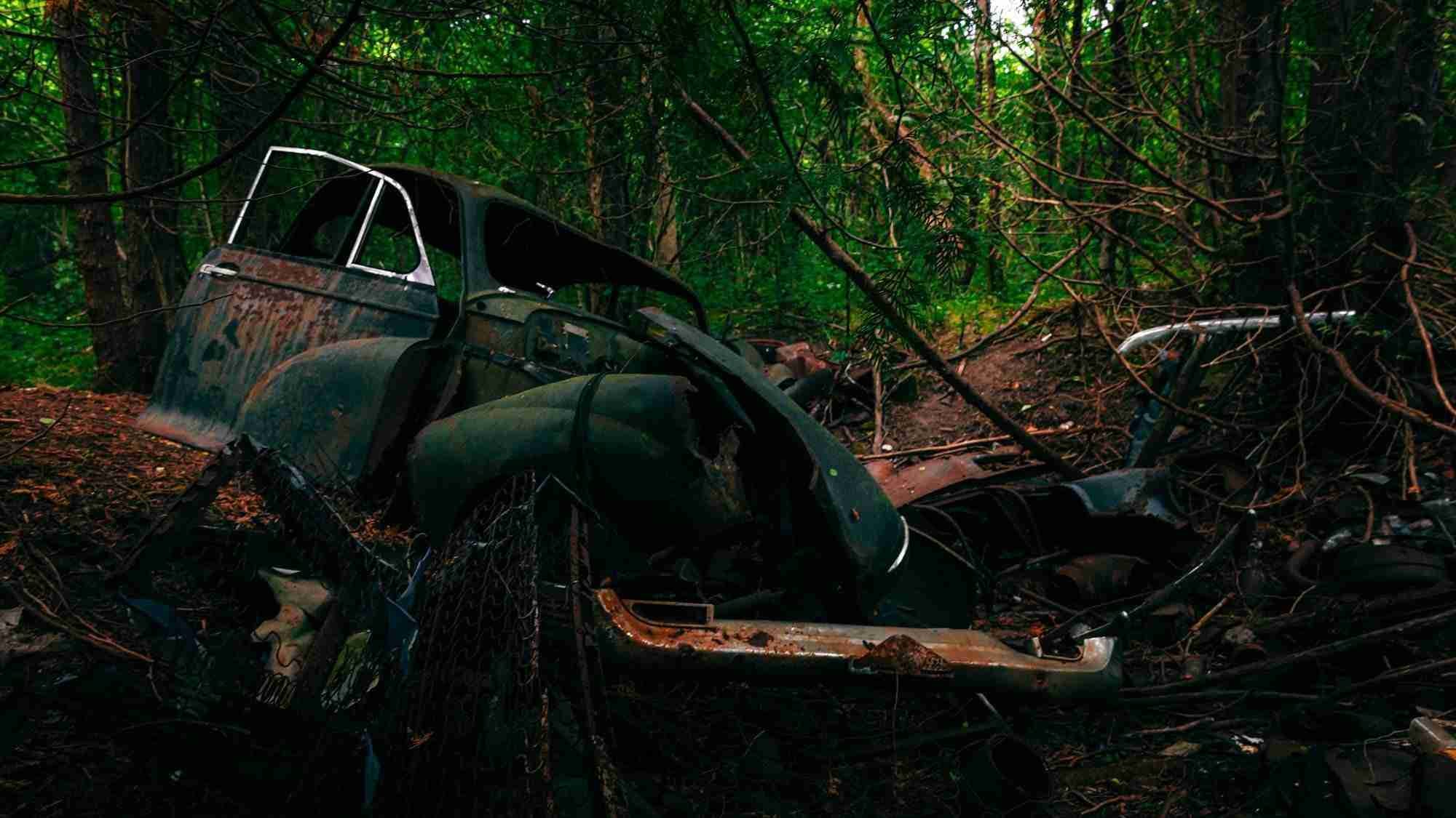 Monaghan Forest Abandoned Cars