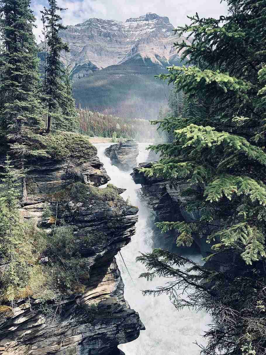 Athabasca Falls