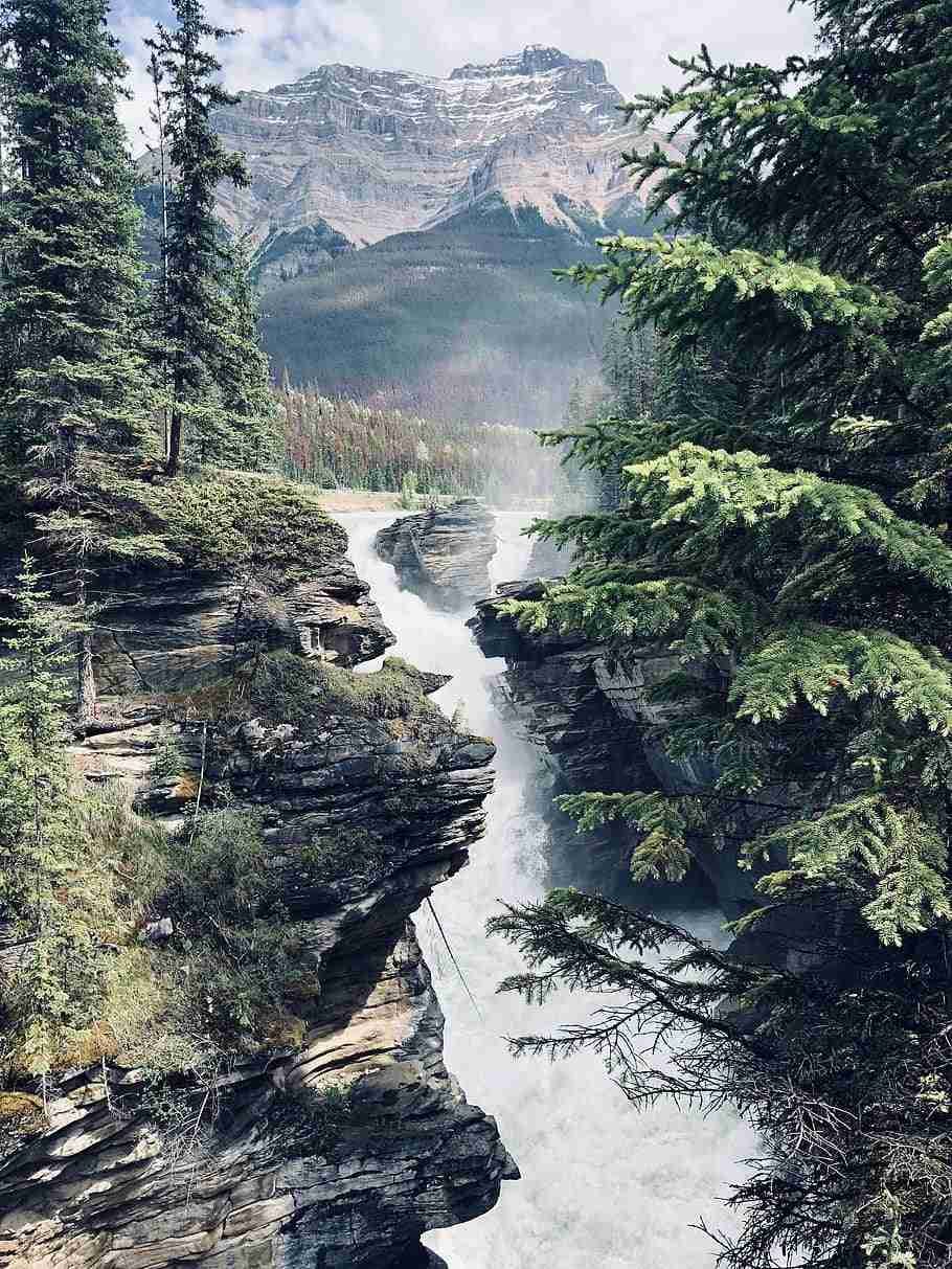 Athabasca Falls
