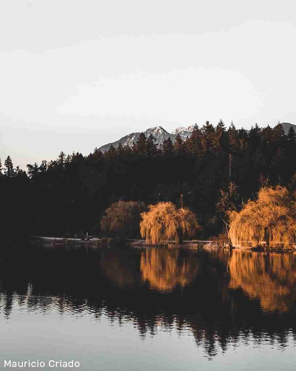 Lost Lagoon