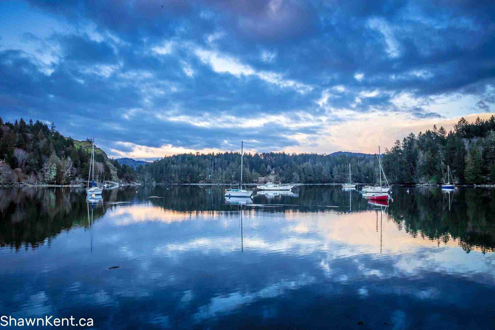 Sooke Harbour View by Shawn M Kent