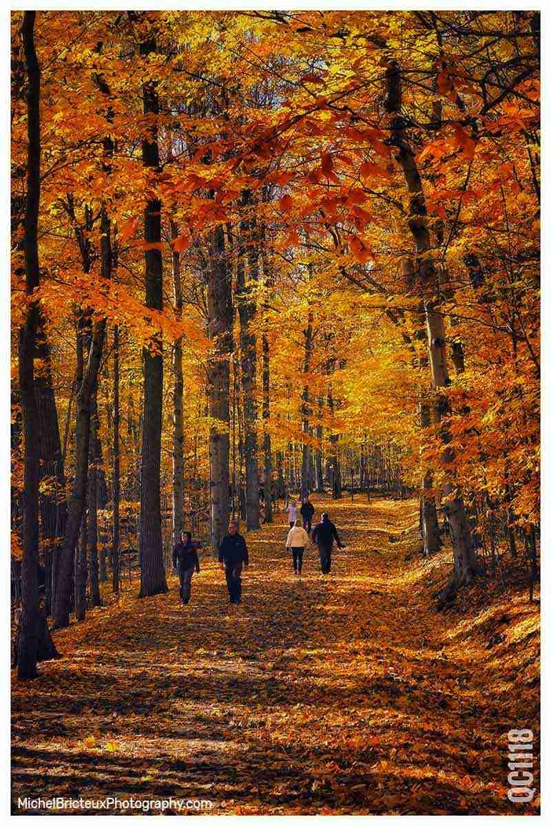 Mont Saint-Bruno