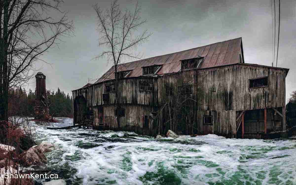 Balaclava Abandoned Sawmill