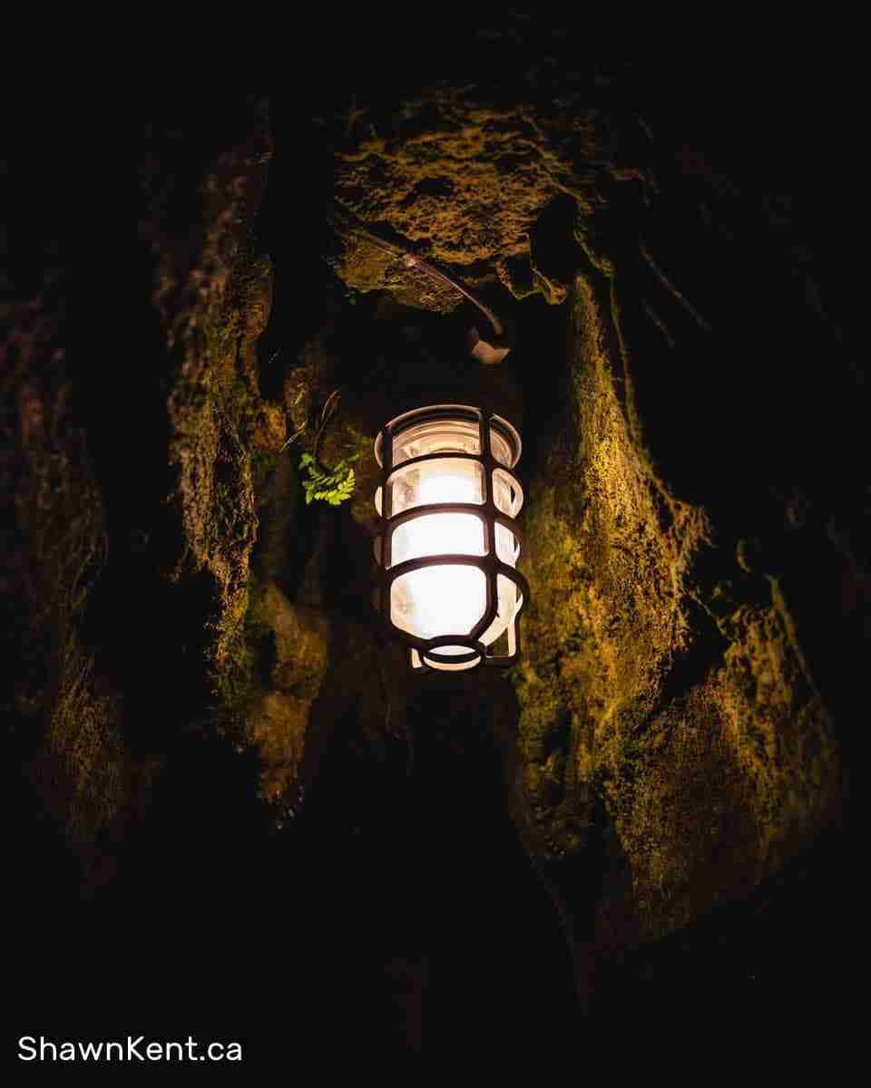 Bonnechere Caves