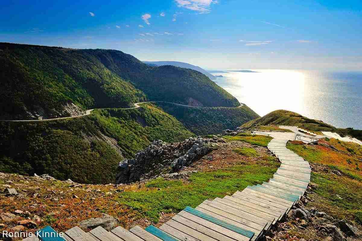 Skyline Trail Viewpoint