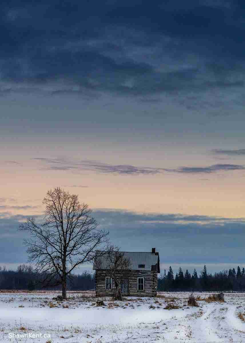 Carp Abandoned Farmstead