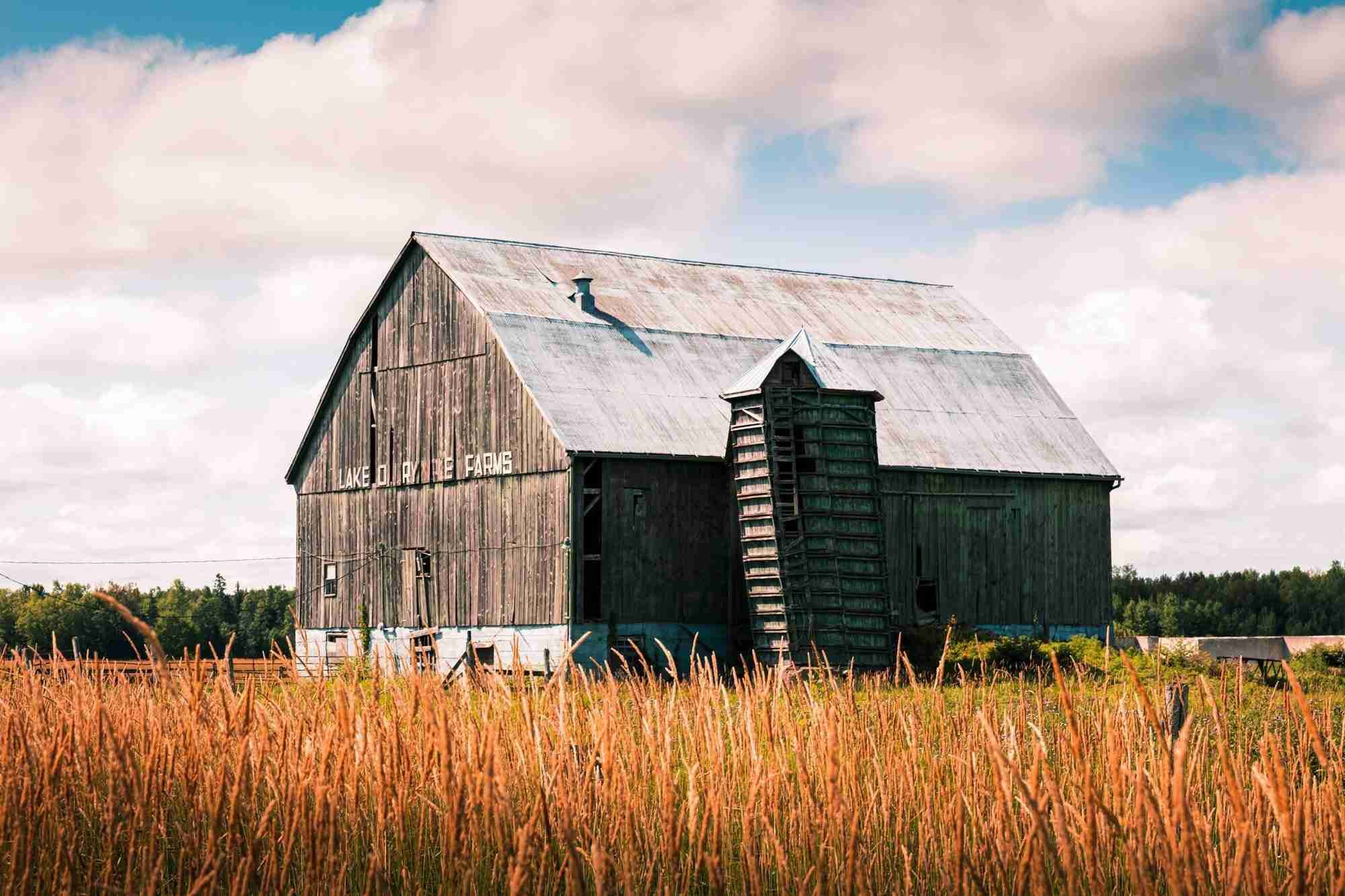 Lake Dalrymple Barn
