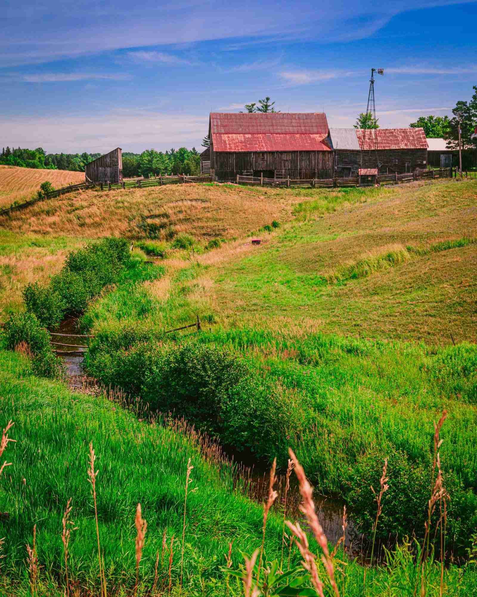 Photogenic Farm