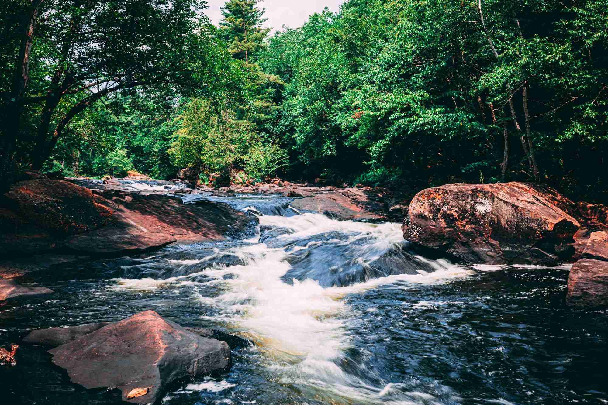 Oxtongue Rapids