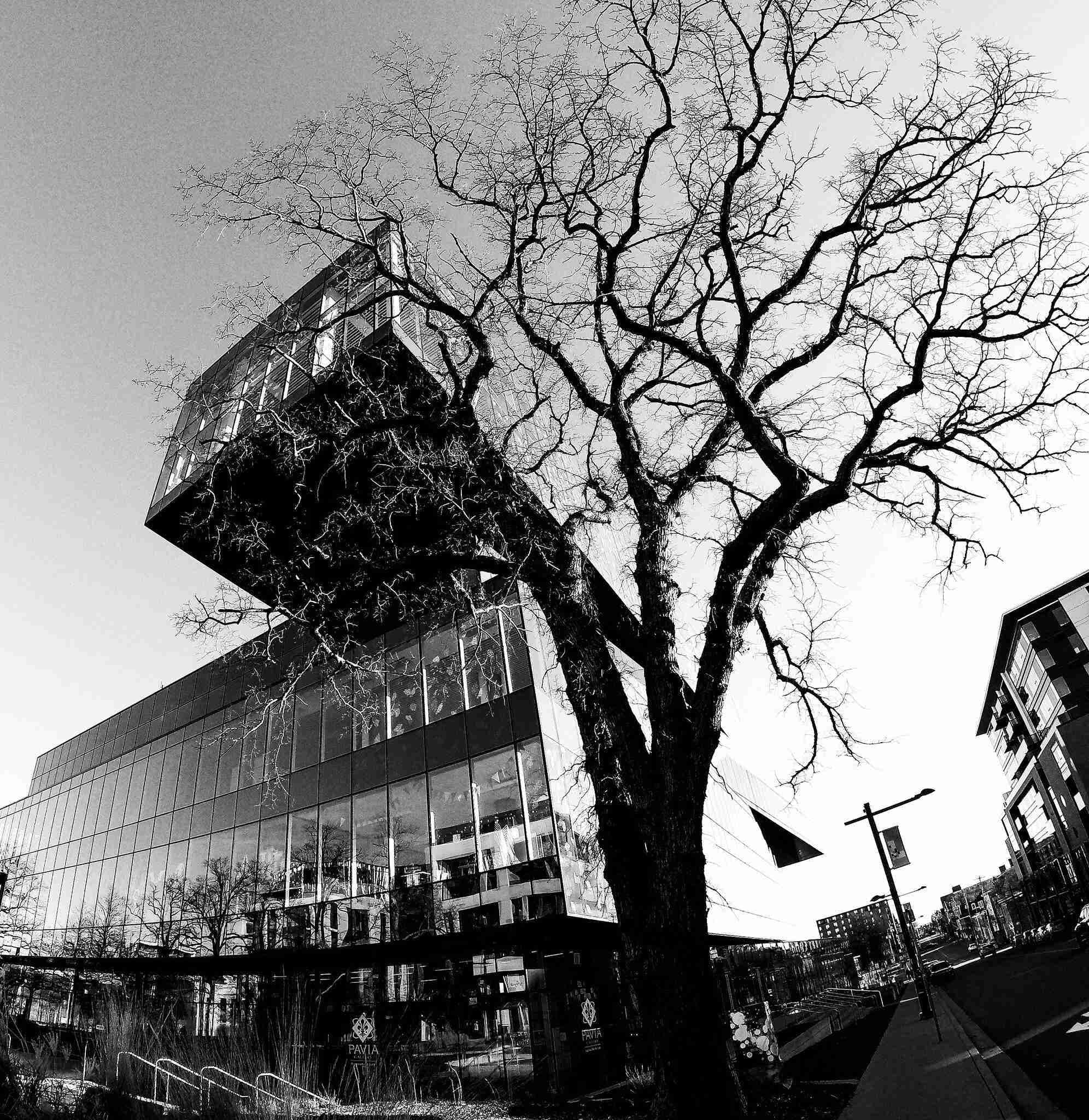 Halifax Central Library