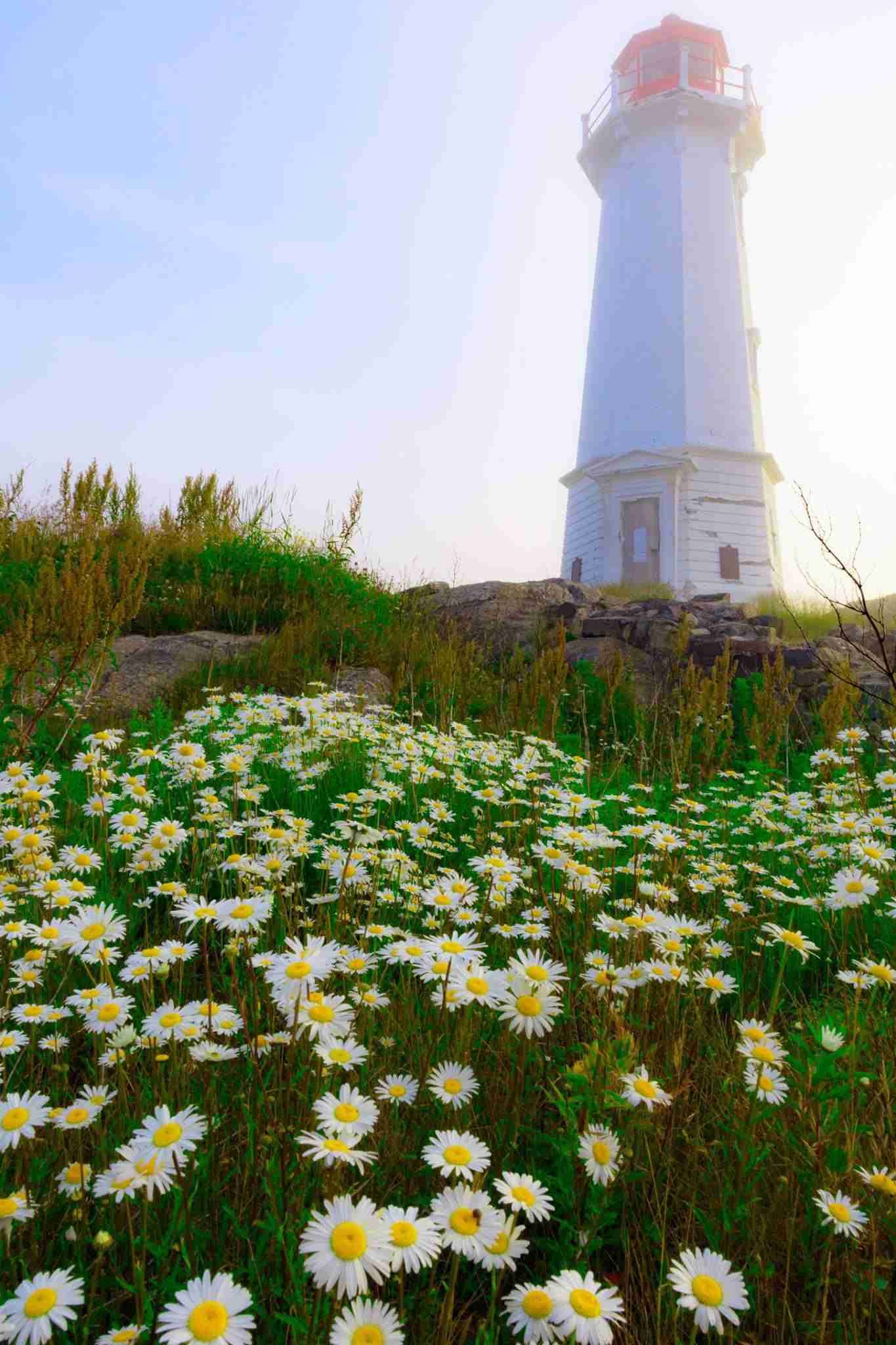 Louisbourg Lighthouse