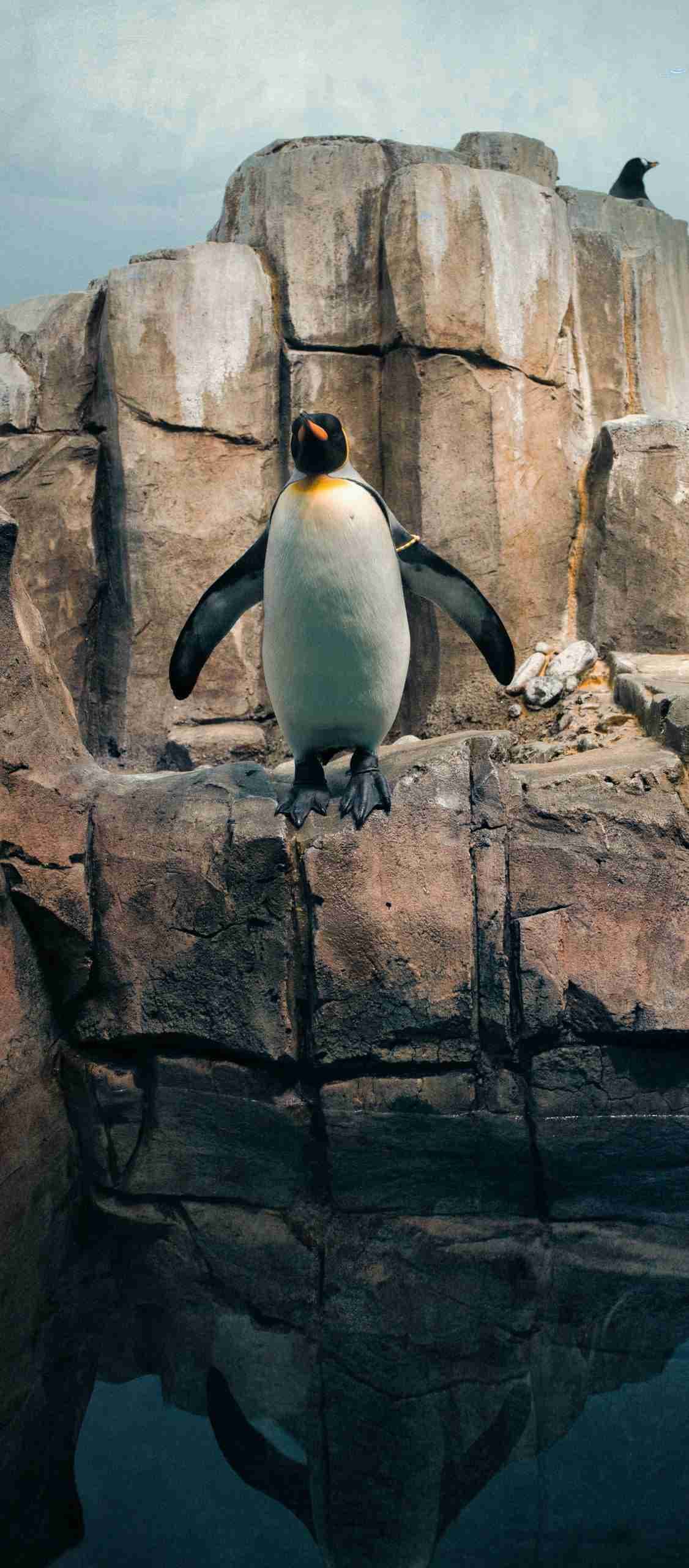 Biodome