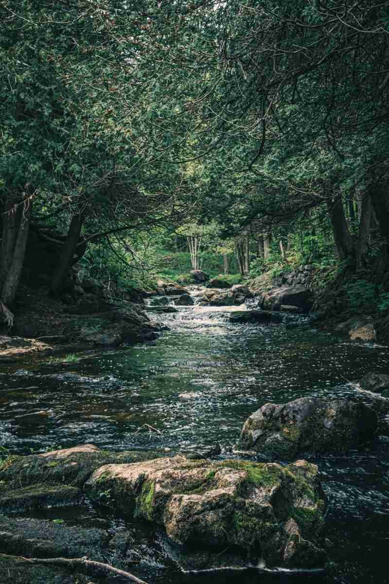 Black Creek