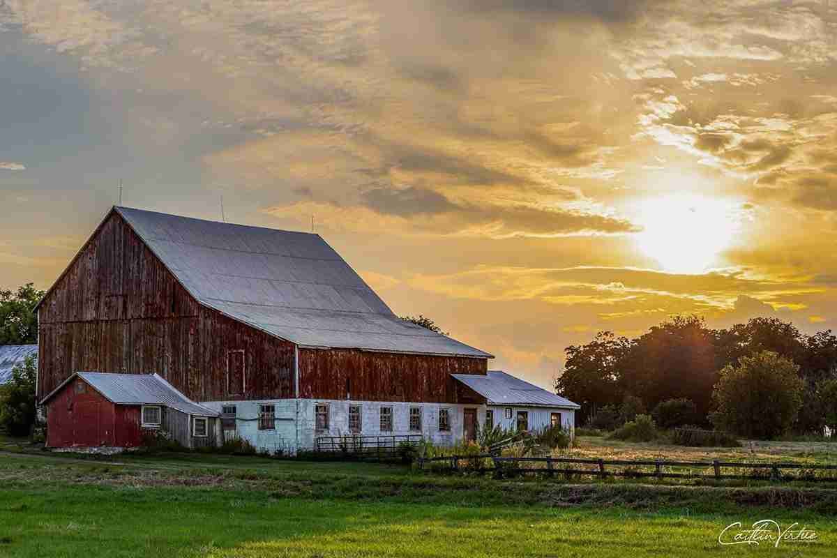 North Gower Barn