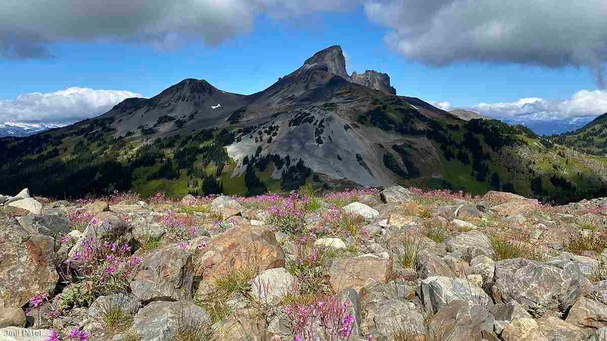 Panorama Ridge Trail by Jinil Patel