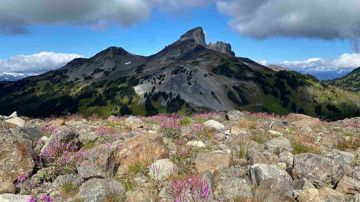 Panorama Ridge Trail