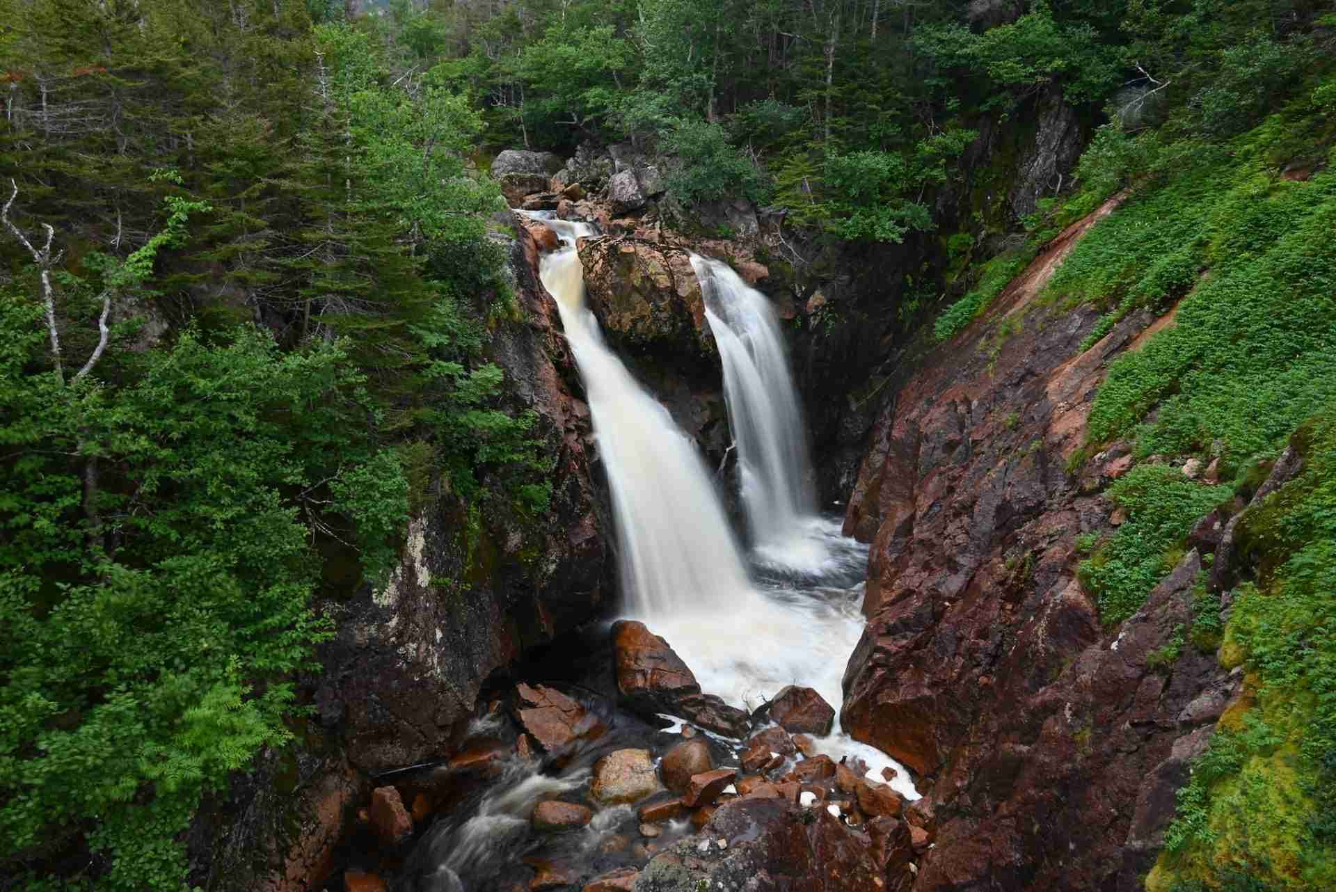 Gros Morne Mountain Trail