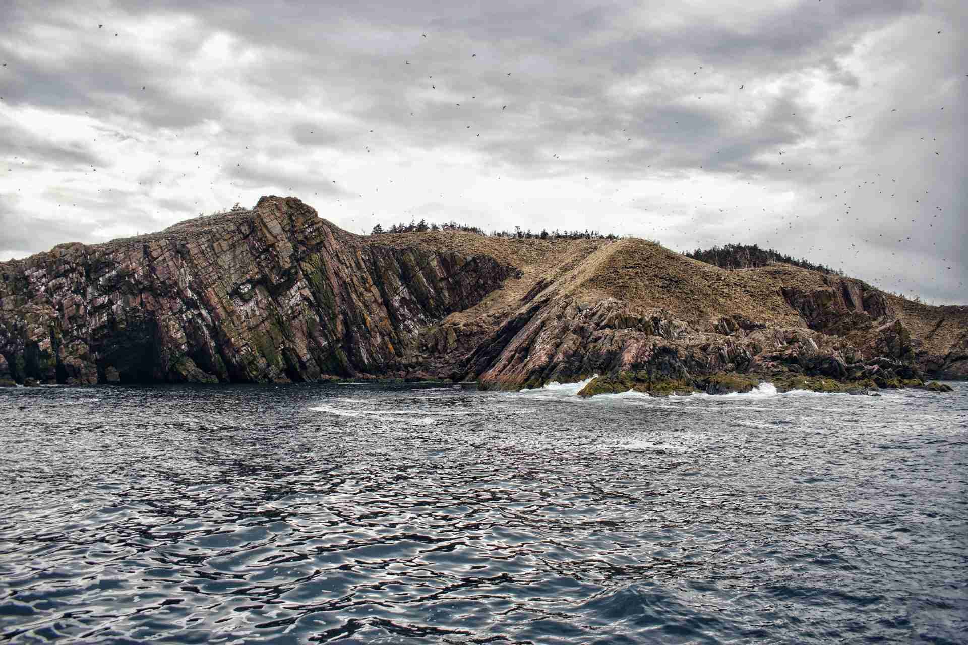 Witless Bay Ecological Reserve