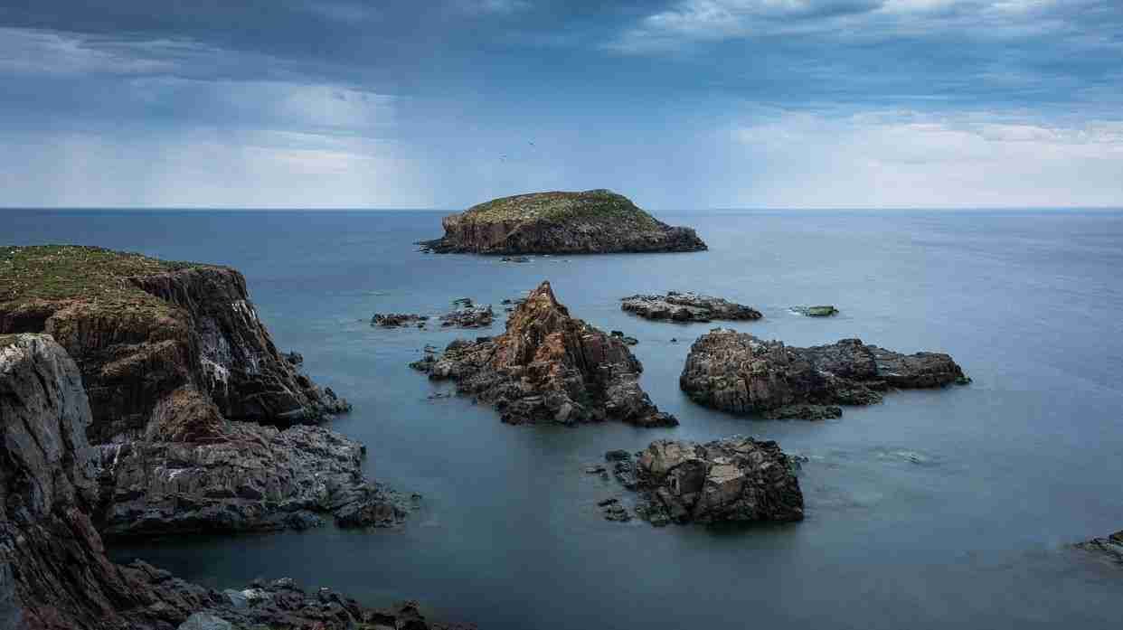 Elliston Puffin Viewing Site