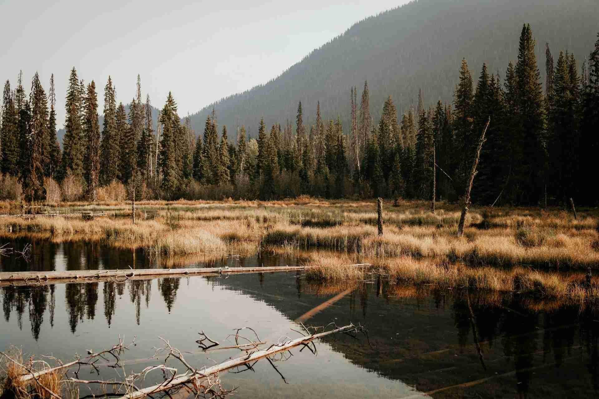 Manning Park