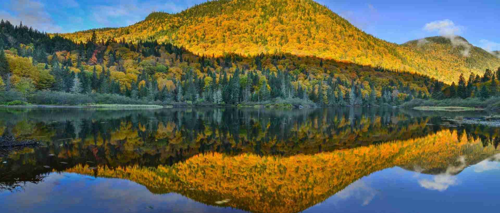 Parc national de la Jacques-Cartier