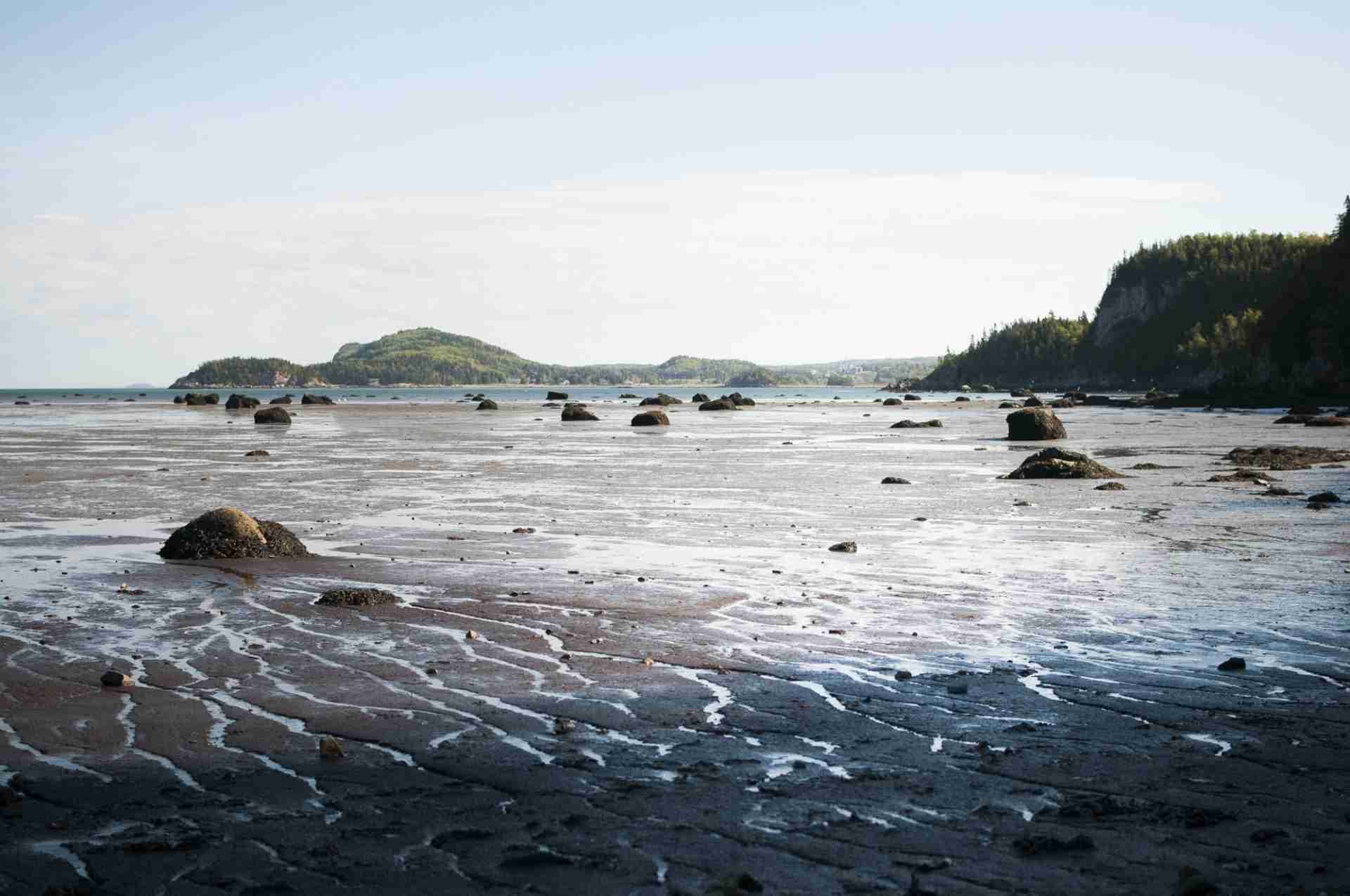 Parc National du Bic