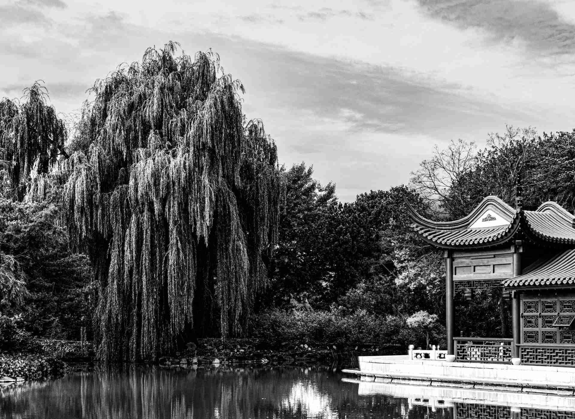 Montreal Botanical Gardens