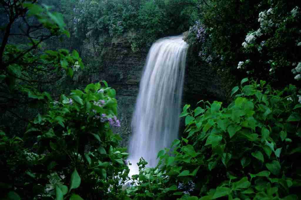 Borer’s Falls by Sandy Bell