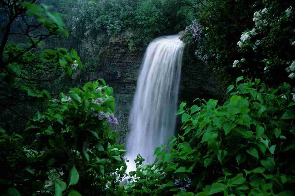 Borer’s Falls