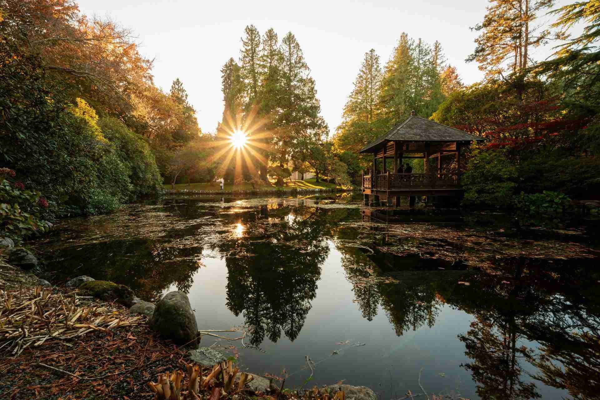 Royal Roads Japanese Garden