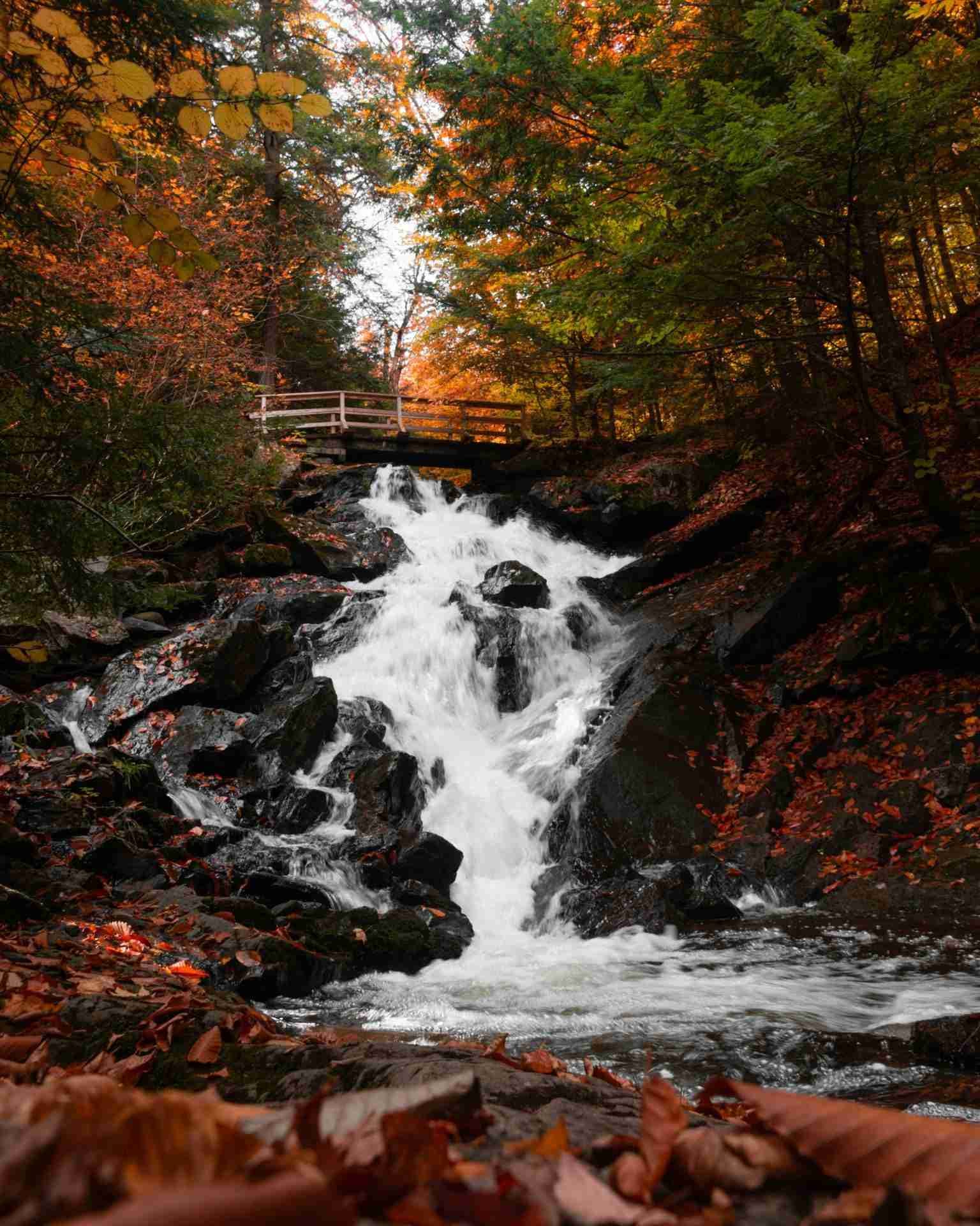 Dunlop Falls, Gatineau Park