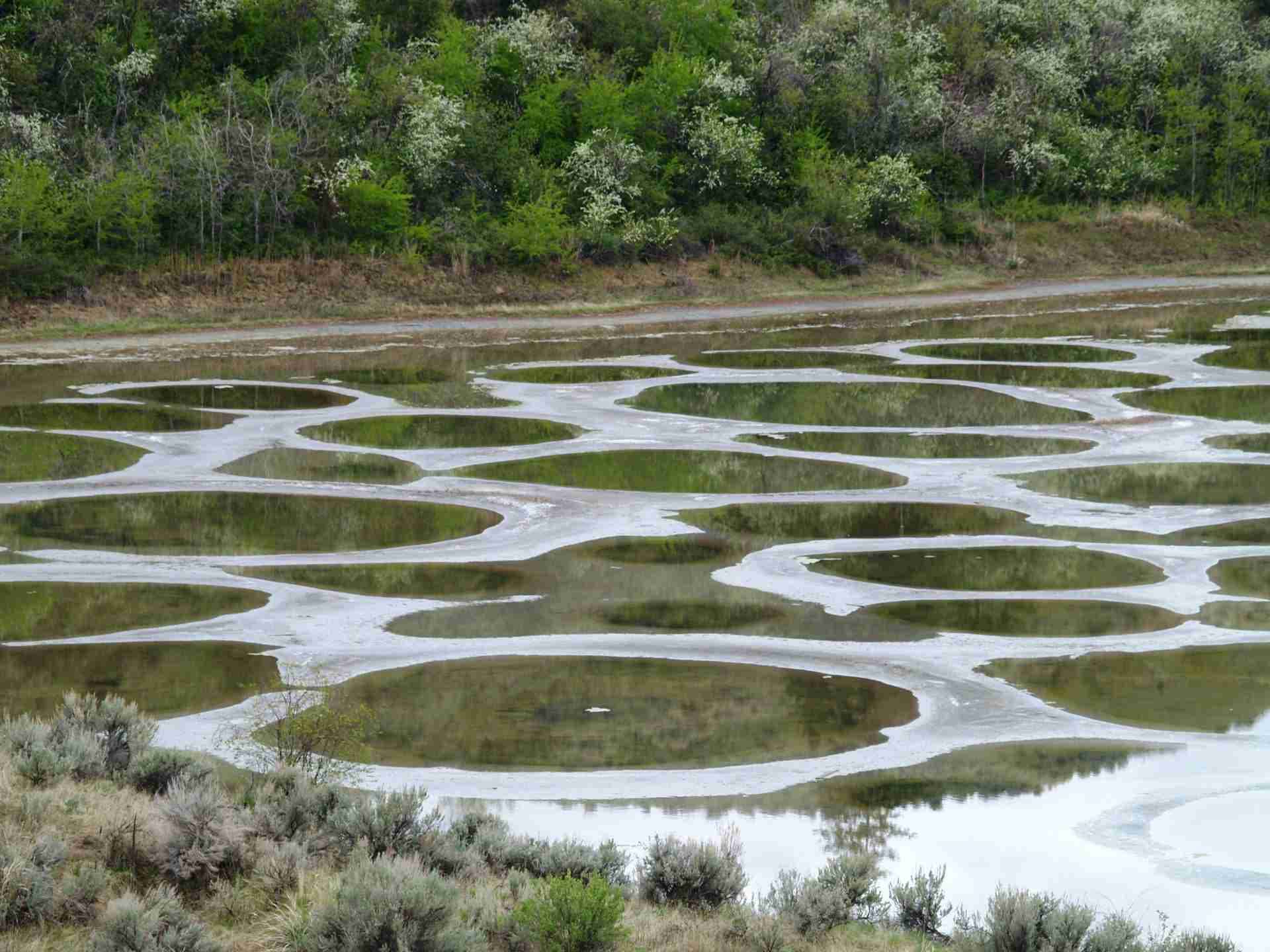 Spotted Lake by Jack Borno