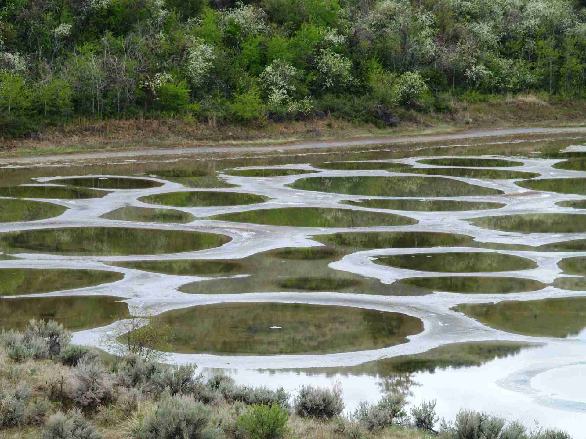 Spotted Lake