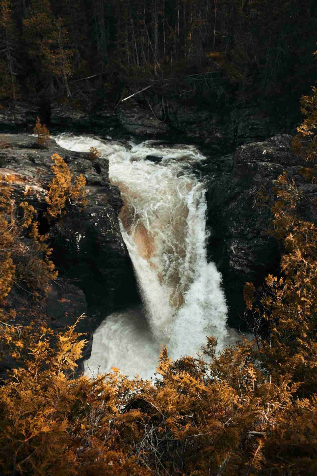 Chute Sainte-Anne (Parc de la Gaspésie) by Anna Mircea
