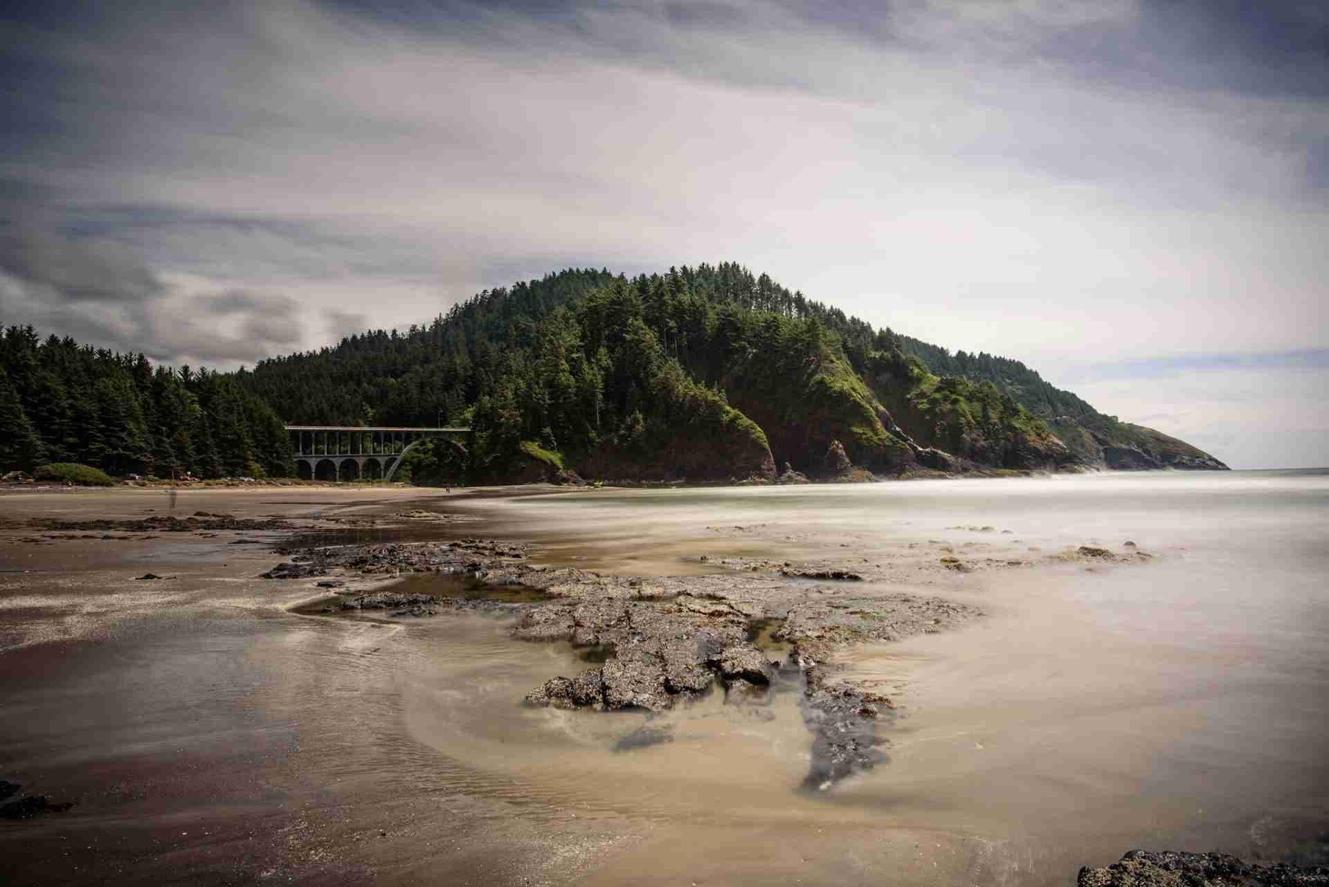 Heceta Beach and Cape Creek Bridge by Nathan Anderson