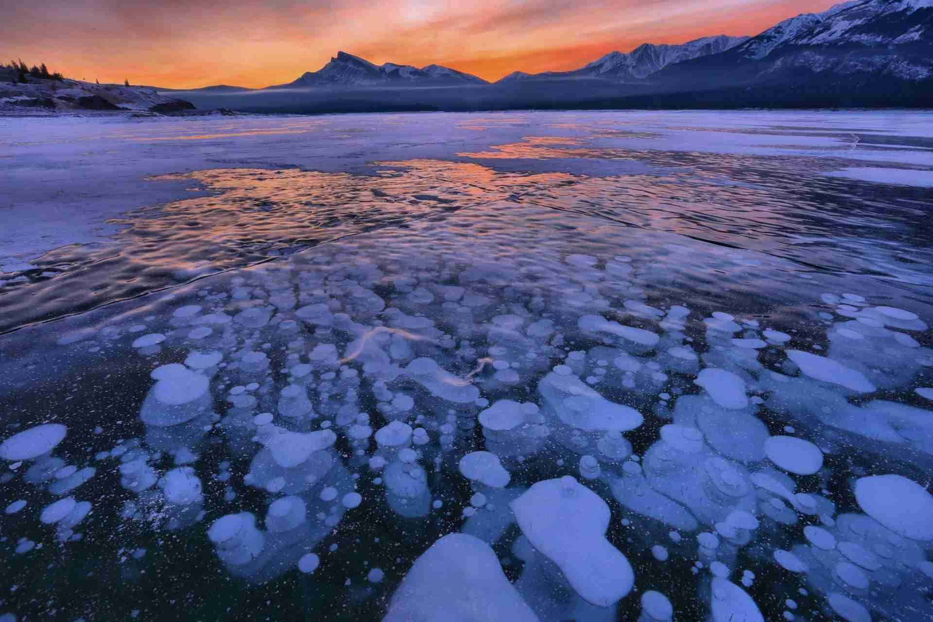 Abraham Lake