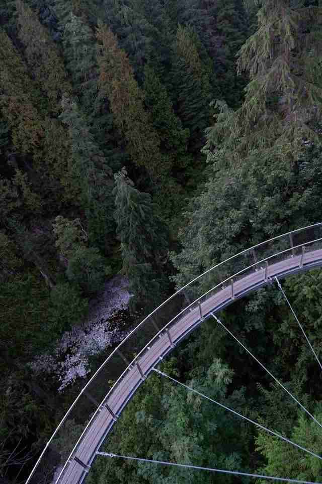 Capilano Suspension Bridge Park by Itsuka Iwaki