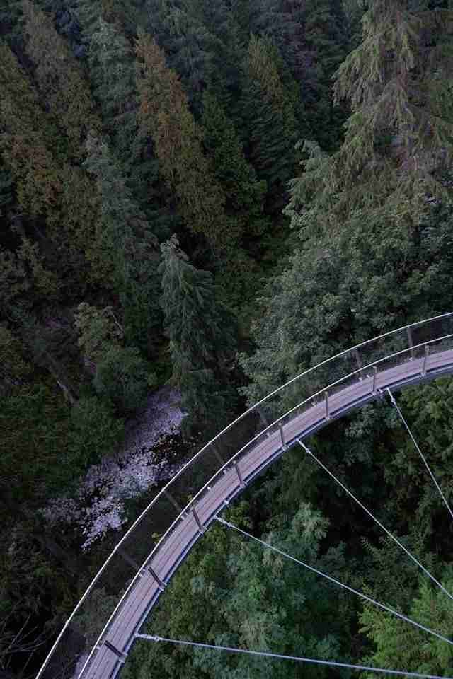 Capilano Suspension Bridge Park