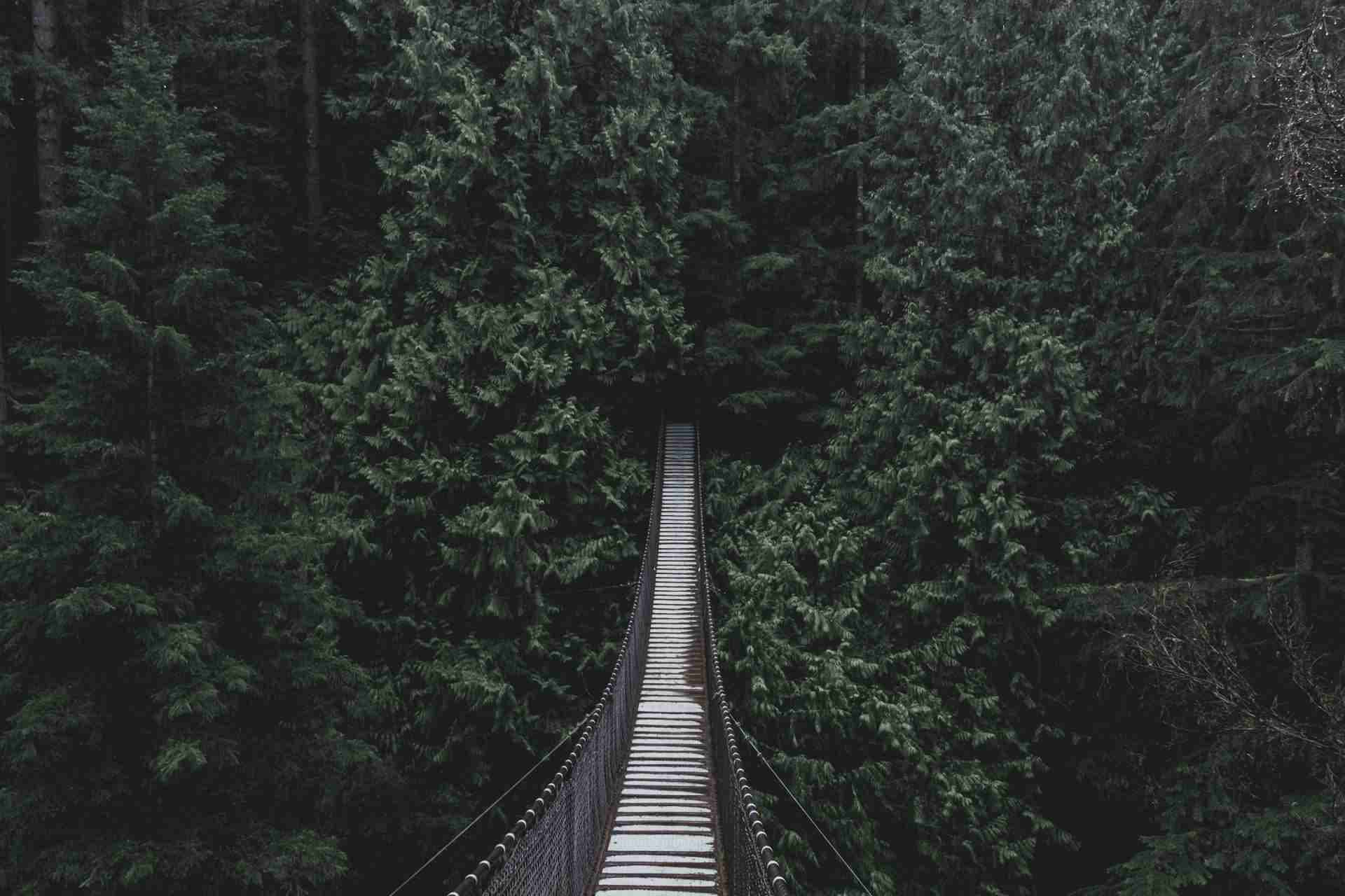 Lynn Canyon Suspension Bridge by Glen Jackson