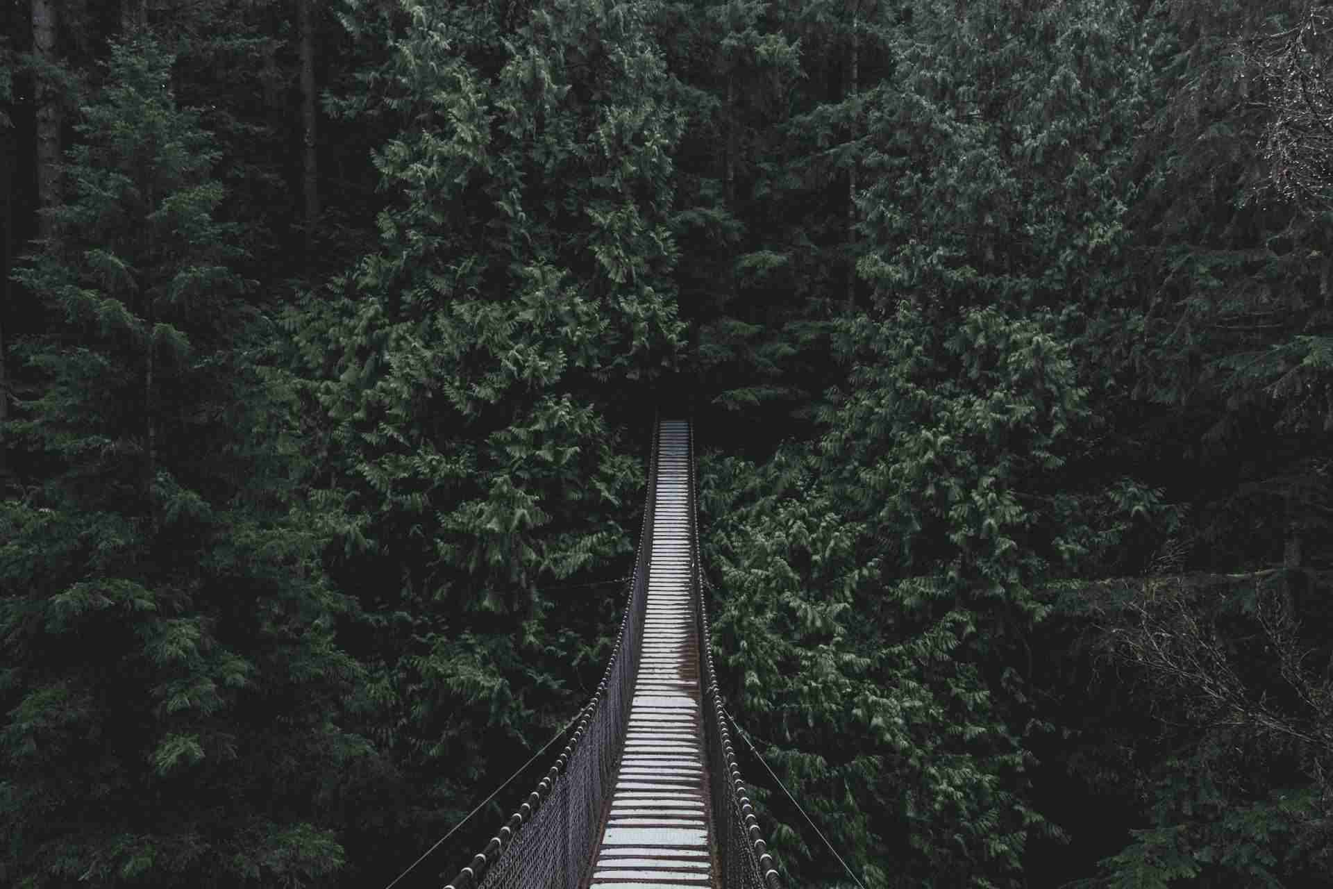 Lynn Canyon Suspension Bridge