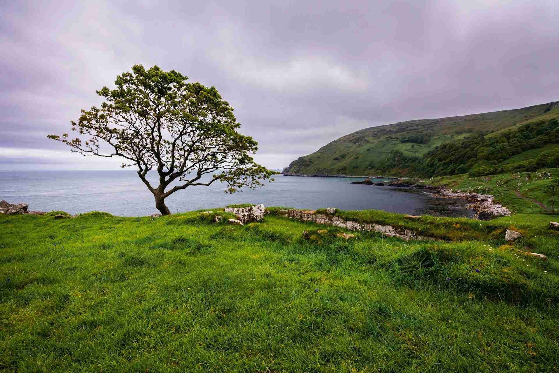 Murlough Bay