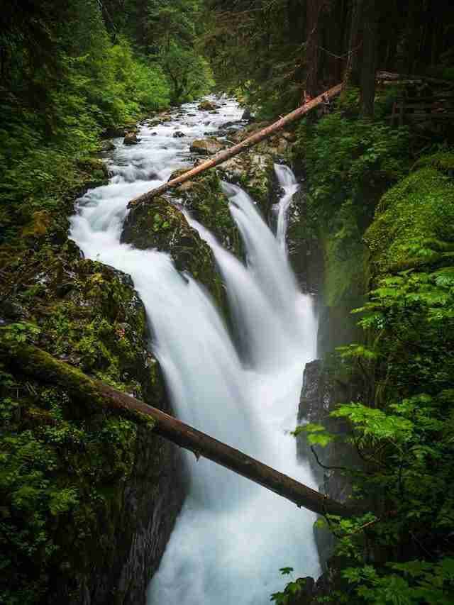 Sol Duc Falls by Shakti Rajpurohit
