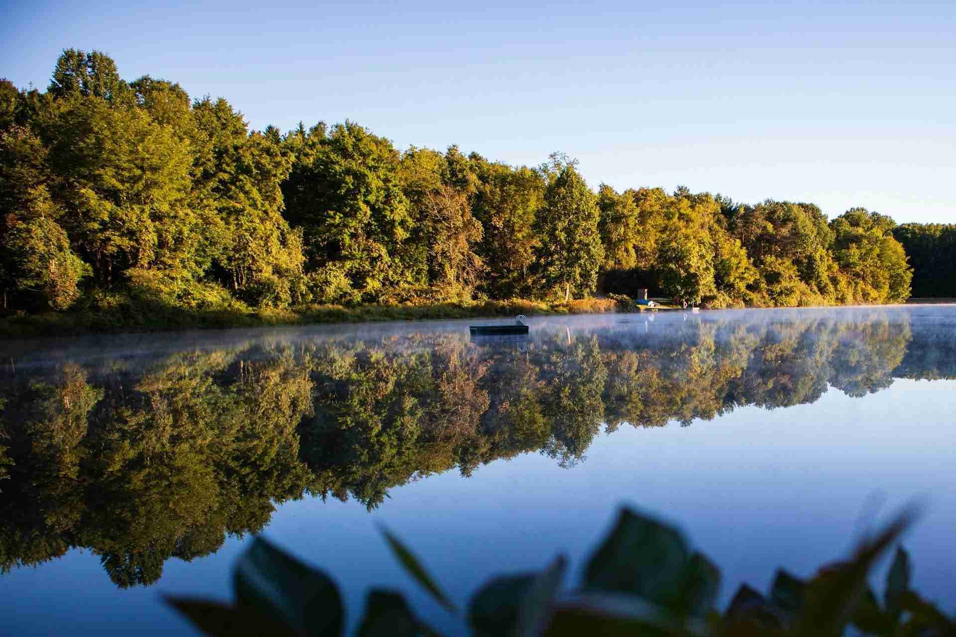 Lake Heron by Ryan Stone